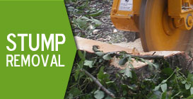 Stump Grinding